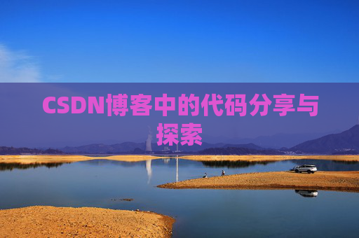 CSDN博客中的代码分享与探索